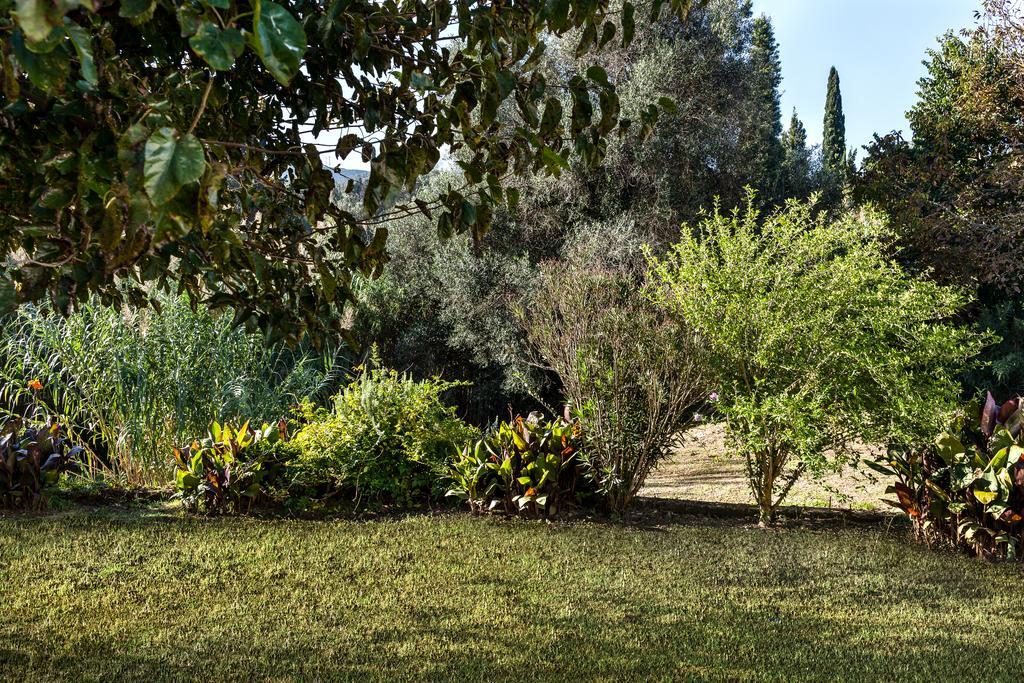 Zen Stone House Villa Агиос Георгиос Пагон Стая снимка